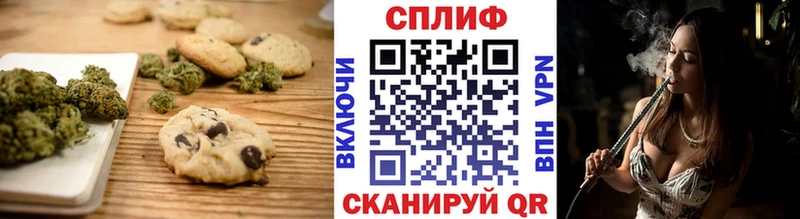 Canna-Cookies марихуана Купить где Алзамай