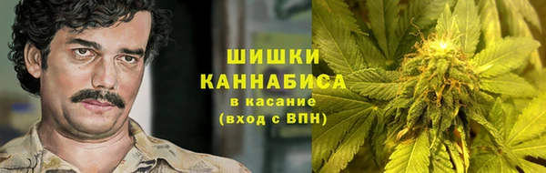 эйфоретик Краснослободск