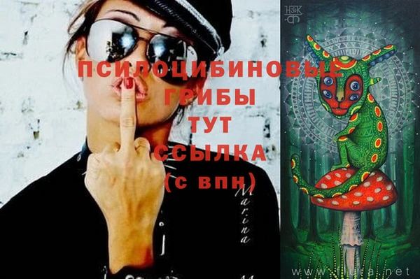 спиды Красноперекопск