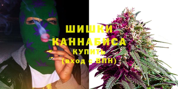 ПСИЛОЦИБИНОВЫЕ ГРИБЫ Кукмор