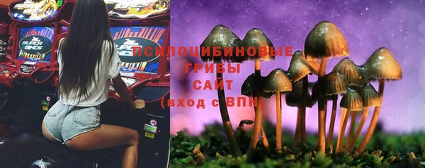спиды Красноперекопск