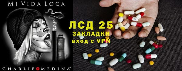ПСИЛОЦИБИНОВЫЕ ГРИБЫ Кукмор