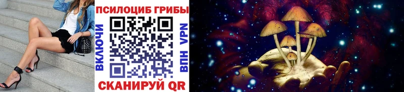 Купить закладки  Алзамай  Псилоцибиновые грибы ЛСД 